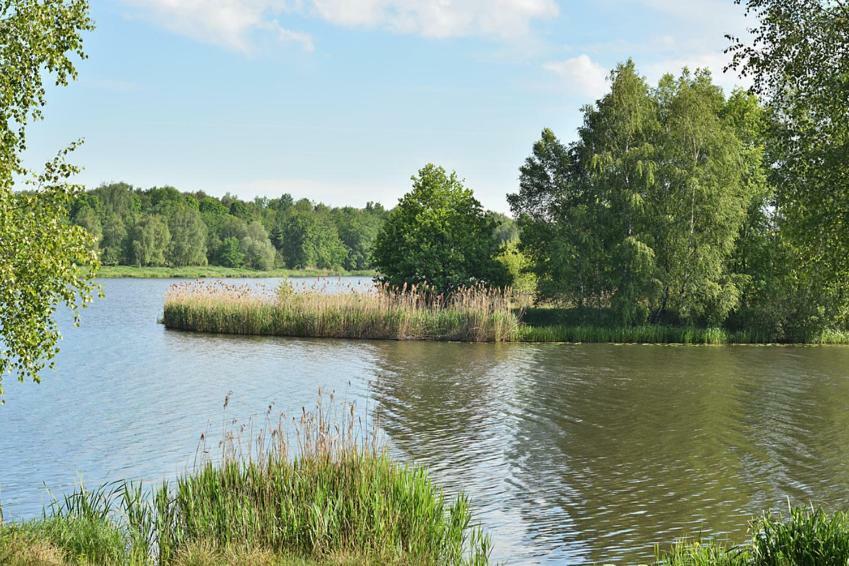 Piramida Park Hotel & Wellness Tychy Bagian luar foto